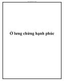 Ở lưng chừng hạnh phúc