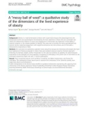 A 'messy ball of wool': A qualitative study of the dimensions of the lived experience of obesity