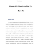 Chapter 029. Disorders of the Eye (Part 19)