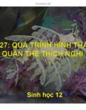 Bài giảng Sinh học lớp 12 bài 27: Quá trình hình thành quần thể thích nghi