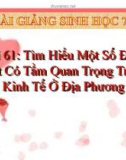 Bài giảng Sinh học 7 bài 61: Tìm hiểu một số động vật có tầm quan trọng trong kinh tế địa phương