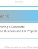 Lecture Electronic commerce - Chapter 16: Launching a Successful Online Business and EC Projects