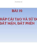 Bài giảng Công nghệ 10 bài 10: Biện pháp cải tạo và sử dụng đất mặn đất phèn