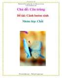 Chủ đề: Côn trùng - Đề tài: Cánh bướm xinh Nhóm - Lớp: Chồi