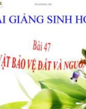 Bài giảng Sinh học 6 bài 47: Thực vật bảo vệ đất và nguồn nước