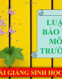 Bài giảng Sinh học 9 bài 61: Luật bảo vệ môi trường