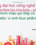 Bài thuyết trình môn Vi sinh thực phẩm: Quá trình sản xuất nước tương