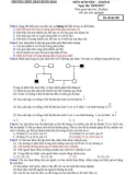 Đề thi thử ĐH đợt 3 năm 2017 môn Sinh học - THPT Trần Hưng Đạo - Mã đề 208