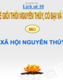 Bài giảng Lịch sử 10 bài 2: Xã hội nguyên thủy