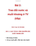 Bài 2: Trao đổi nước và muối khoáng ở TV (tiếp)