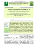 Changes in phytochemicals during processing of green tea