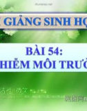 Bài giảng Sinh học 9 bài 54: Ô nhiễm môi trường