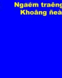 Bài giảng môn Tiếng Việt lớp 4 năm học 2020-2021 - Tuần 34: Chính tả Nói ngược (Trường Tiểu học Thạch Bàn B)