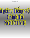 Slide bài Chính tả: Nghe, viết: Người mẹ - Tiếng việt 3 - GV.N.Tấn Tài