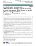 Attributions and private theories of mental illness among young adults seeking psychiatric treatment in Nairobi: An interpretive phenomenological analysis