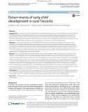 Determinants of early child development in rural Tanzania