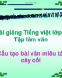 Bài Tập làm văn: Cấu tạo bài văn miêu tả cây cối - Bài giảng điện tử Tiếng việt 4 - GV.N.Phương Hà