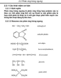 Chương 2: Các phương pháp tổng hợp polyme