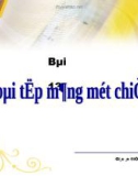 Bài giảng Điện tử Tin học lớp 11: Bài 13