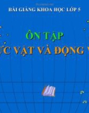 Slide bài Ôn tập Động vật và thực vật - Khoa học 5 - GV.H.T.Minh