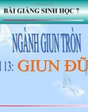 Bài giảng Sinh học 7 bài 13: Giun đũa