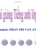 Bài giảng Tiếng Anh 8 unit 12: A vacation abroad