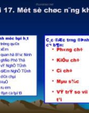 Bài giảng Tin học lớp 10 bài 17: Một số chức năng khác