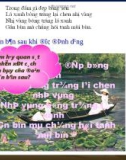 Bài giảng Tin học lớp 10 bài 16: Định dạng văn bản