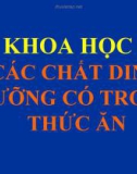 Bài 4: Các chất DD trong thức ăn- VT chất bột đường - Bài giảng điện tử Khoa học 4 - T.B.Minh