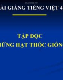 Bài giảng Tập đọc: Những hạt thóc giống - Tiếng việt 4 - GV.N.Hoài Thanh