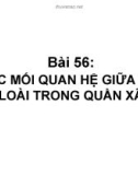 Giáo án điện tử môn sinh học: Sinh học lớp 12- CÁC MỐI QUAN HỆ GIỮA CÁC LOÀI TRONG QUẦN XÃ