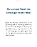 Cấu tạo ngoài Ngành Nửa dây sống (Hemichordata)