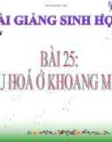 Bài giảng Sinh học 8 bài 25: Tiêu hóa ở khoang miệng