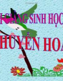 Bài giảng Sinh học 8 bài 32: Chuyển hóa