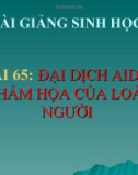 Bài giảng Sinh học 8 bài 65: Đại dịch AIDS thảm họa của loại người