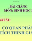 Bài giảng Sinh học lớp 8 bài 51: Cơ quan phân tích thính giác