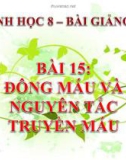 Bài giảng Sinh học lớp 8 bài 15: Đông máu và nguyên tắc truyền máu