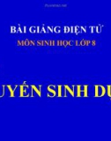 Bài giảng Sinh học lớp 8 bài 58: Tuyến sinh dục