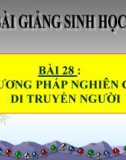 Bài giảng Sinh học 9 bài 28: Phương pháp nghiên cứu di truyền người