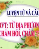 Bài giảng môn Tiếng Việt lớp 3 năm học 2021-2022 - Tuần 13: Luyện từ và câu Mở rộng vốn từ: Từ địa phương. Dấu chấm hỏi, chấm than (Trường Tiểu học Thạch Bàn B)