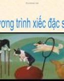 Giáo án điện tử môn Tiếng Việt lớp 3 - Tuần 23: Tập đọc Chương trình xiếc đặc sắc