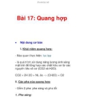 Bài 17: Quang hợp