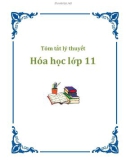 Tóm tắt lý thuyết Hóa học lớp 11