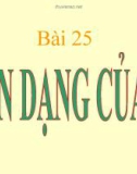 Bài giảng Sinh học 6 bài 25: Biến dạng của lá