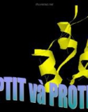 Peptit và protein