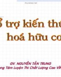 Ôn thi ĐH môn Hóa: Phương pháp tìm công thức phân tử khi biết công thức nguyên