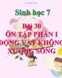 Bài giảng Sinh học 7: Bài 30 - Ôn tập phần 1 động vật không xương sống