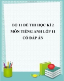 Bộ 11 đề thi học kì 2 môn Tiếng Anh lớp 11 năm 2019-2020 có đáp án