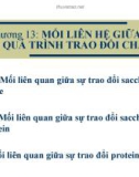 Bài giảng đại cương hóa sinh học - Chương 13