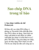 Sao chép DNA trong tế bào